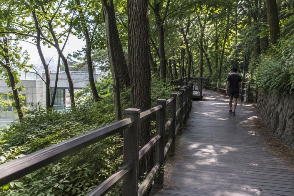 Wooden deck trail winding through forest on the lower slopes of Namsan