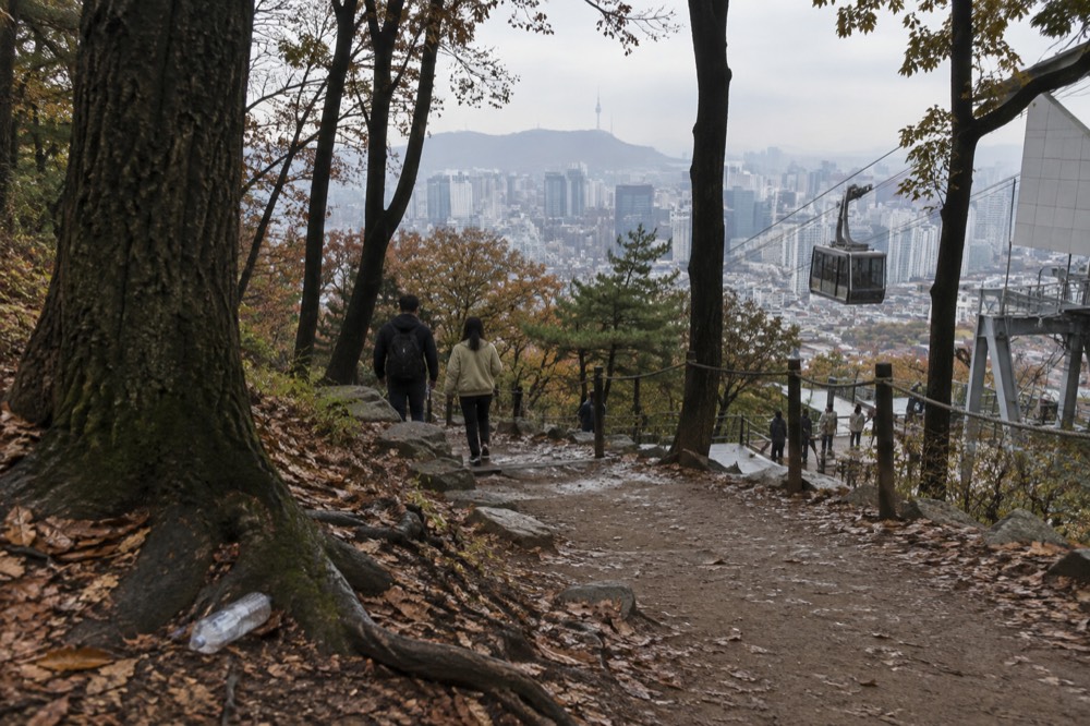 A signposted forest trail on Namsan with Seoul’s skyline visible between the trees