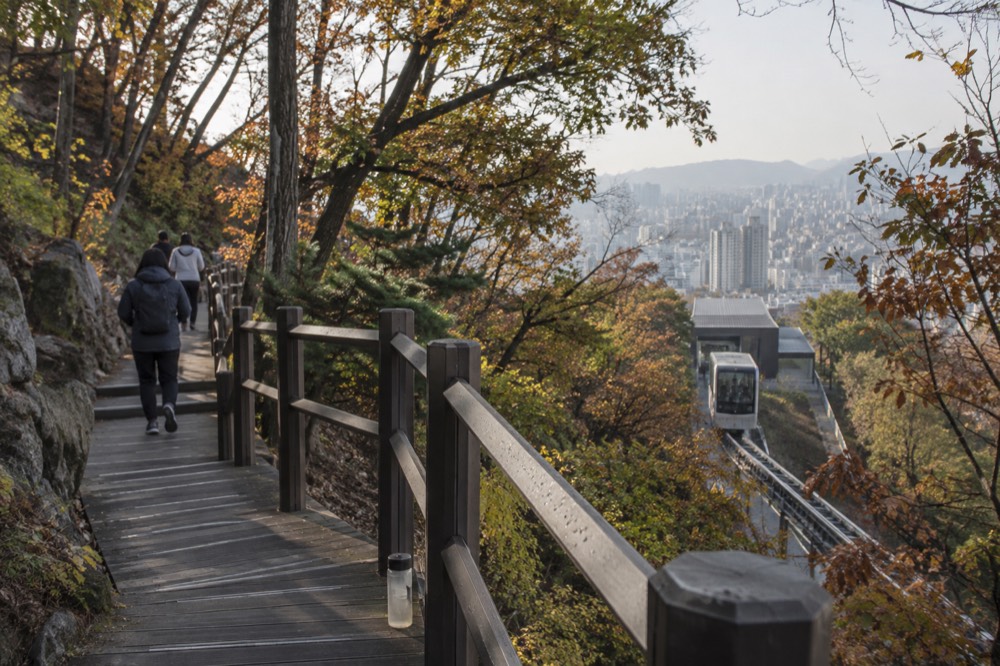 Timber deck trail winding up through forest on the slopes of Namsan in Seoul