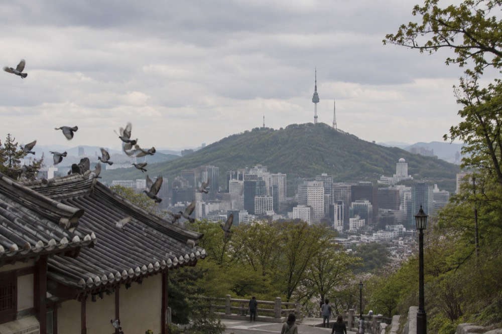 A green forested ridge with a communications tower on top seen across dense city buildings