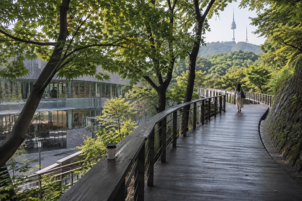 A timber deck trail curving through green forest on a hillside above the city