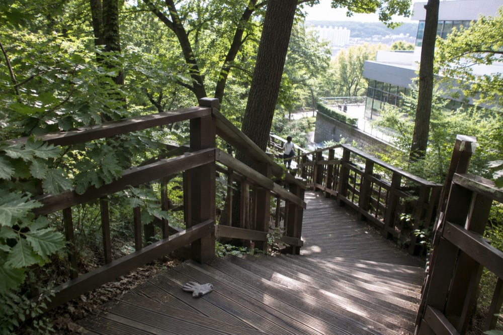 Wooden staircase winding up through dense green forest on a Namsan walking trail