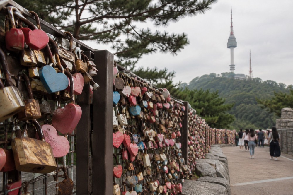 A wire fence densely covered with padlocks of many colours, trees and a pathway visible behind