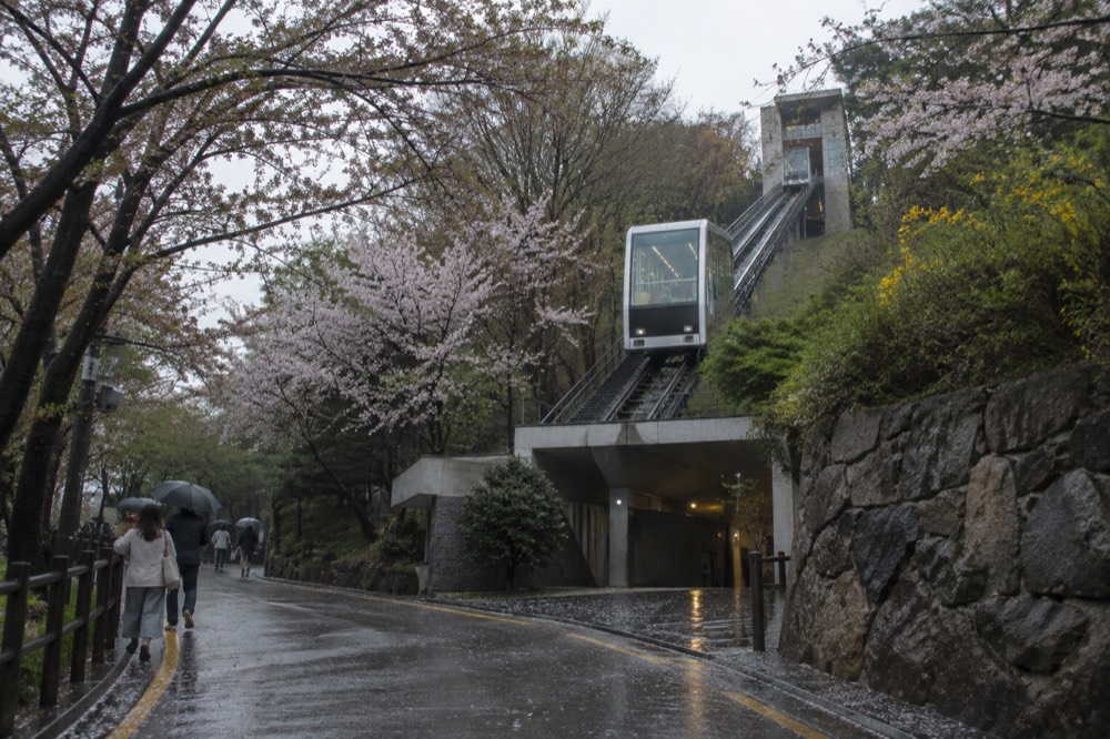 Inclined glass elevator rising along a hillside above a tree-lined road