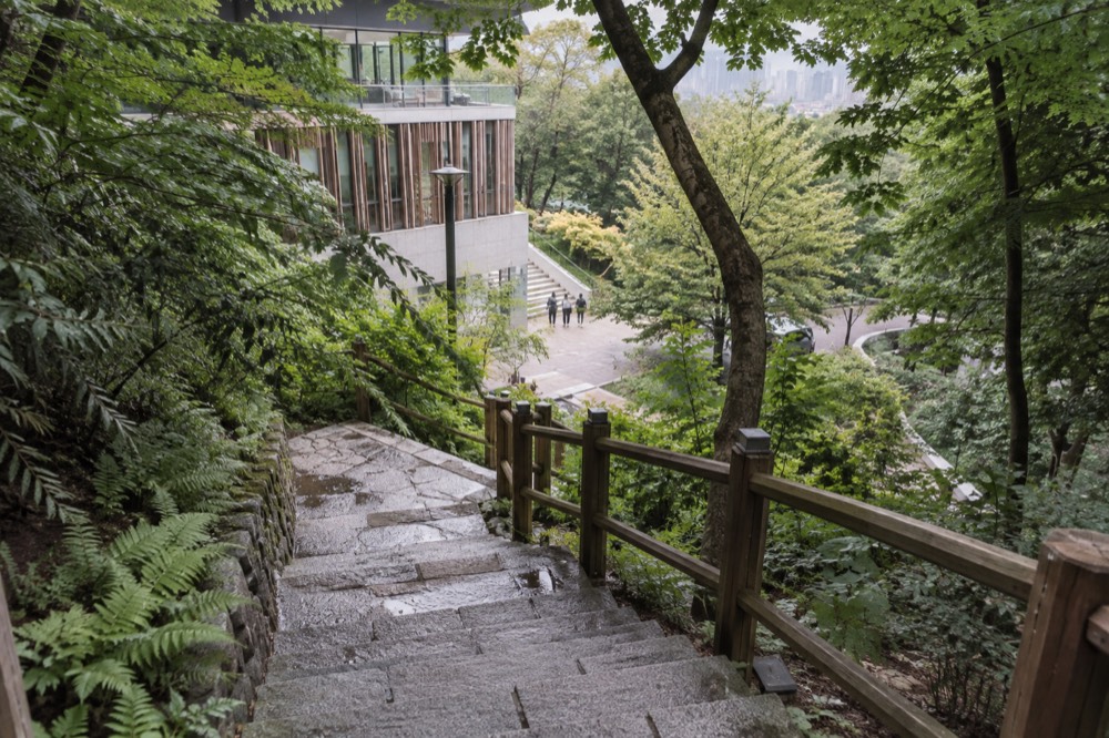 A stone and timber staircase climbing through dense forest on a Seoul hillside
