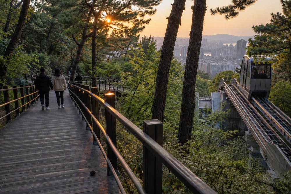 Wooden barrier-free deck trail through forest above city rooftops